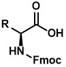 L-Amino acid